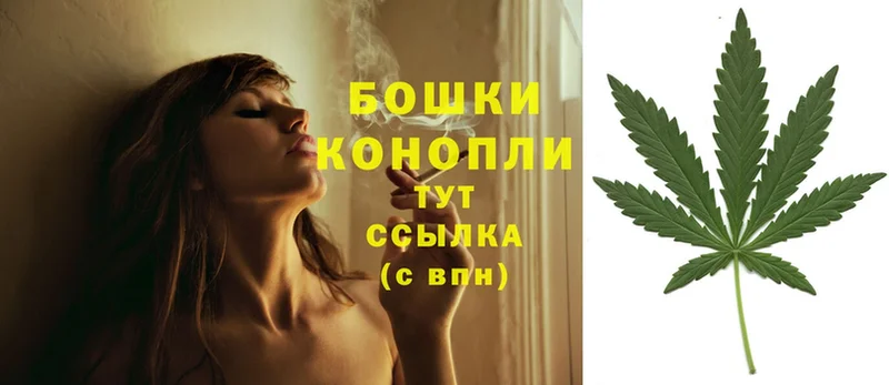 Конопля Ganja  Зеленоградск 